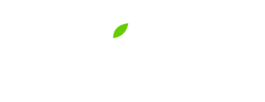 barbora